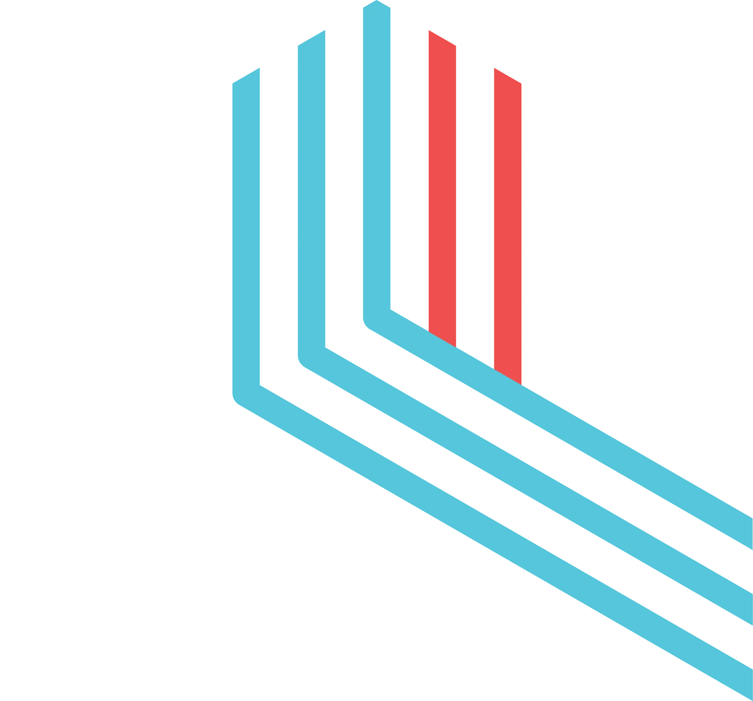 Training Lane footer logo